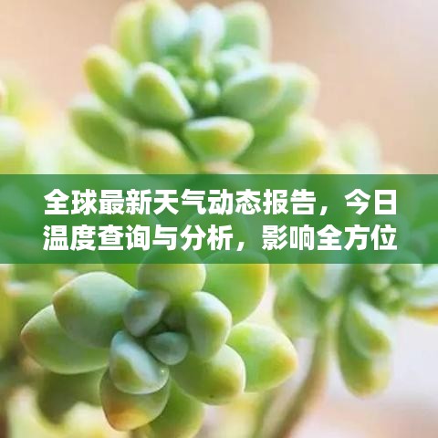 全球最新天氣動態(tài)報告，今日溫度查詢與分析，影響全方位解讀